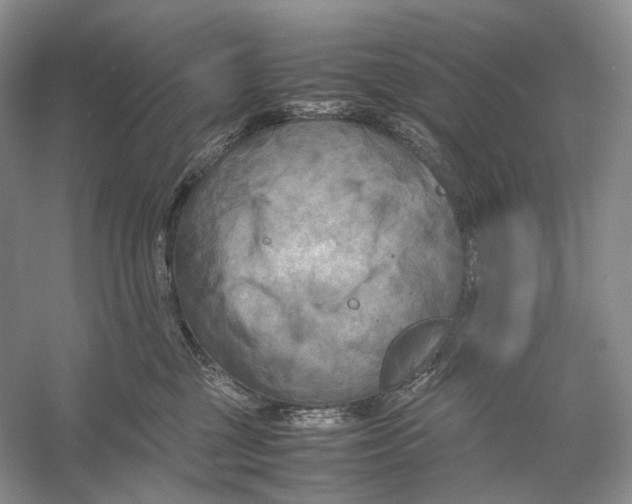 X0000053130377200508081324