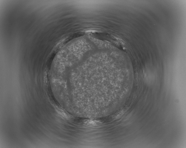 X0000053130379200508081324