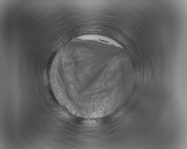 X0000053130381200508081324