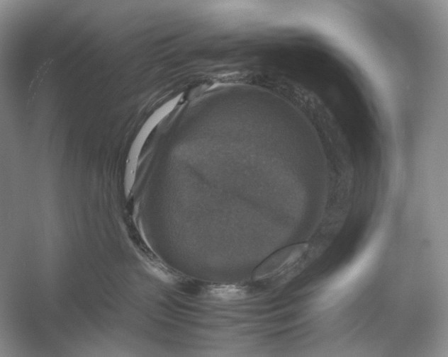 X0000053130383200508081324