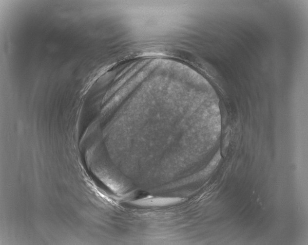 X0000053130385200508081324