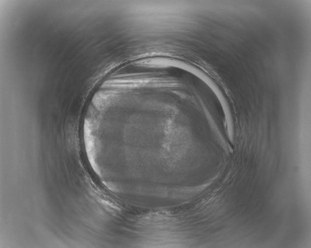 X0000053130386200508081324