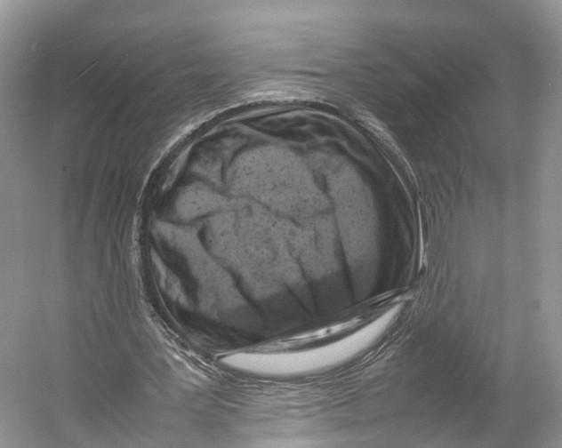 X0000053130387200508081324