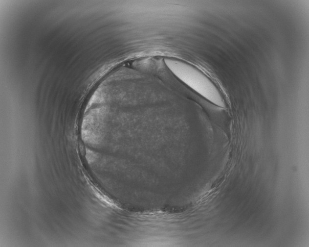 X0000053130389200508081323