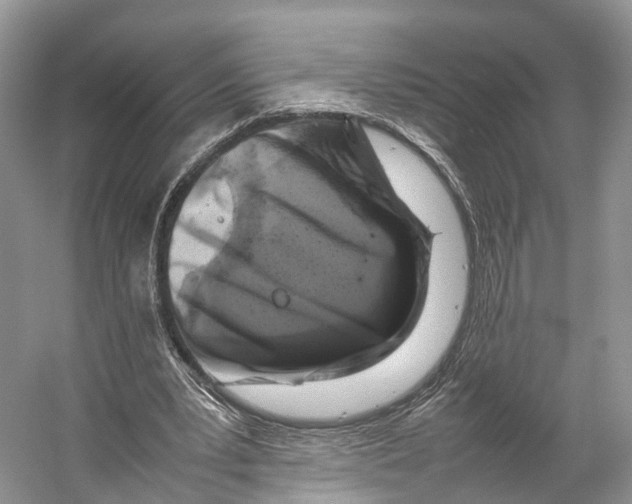 X0000053130391200508081323