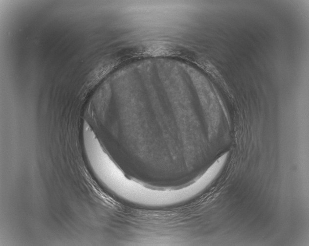 X0000053130393200508081323