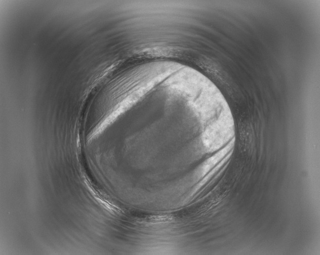X0000053130398200508081323