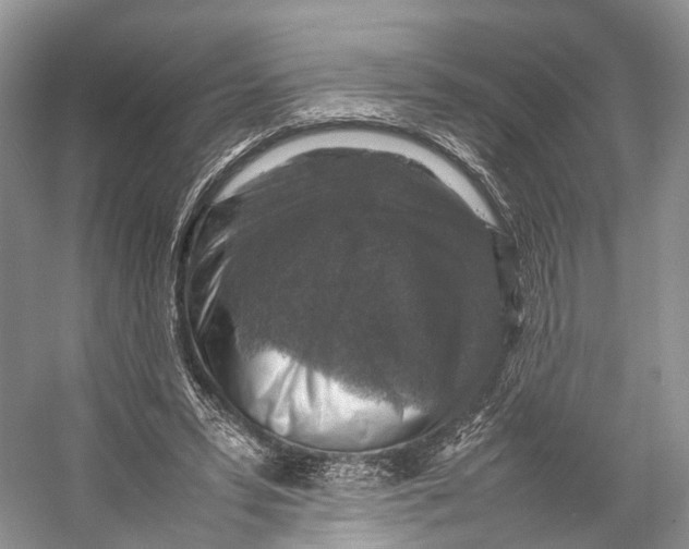 X0000053130399200508081323