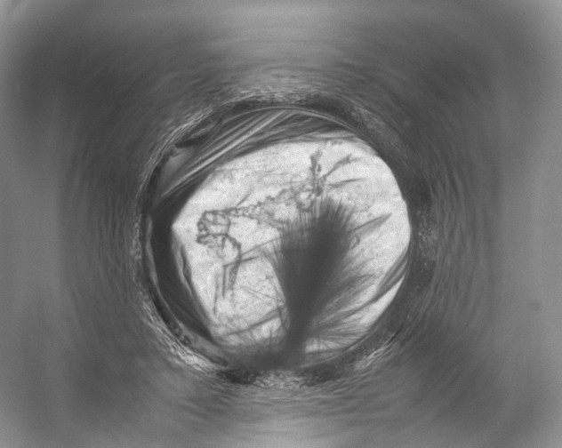 X0000053130403200508081323