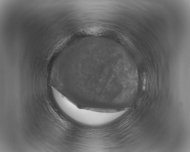 X0000053130404200508081323
