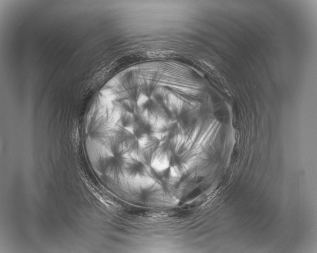 X0000053130405200508081323