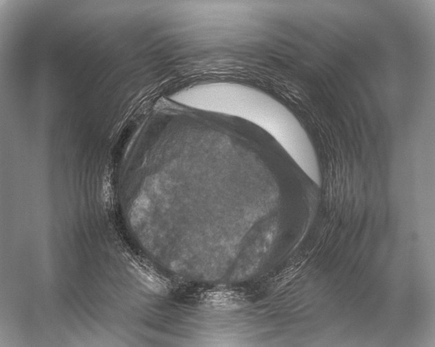 X0000053130408200508081323