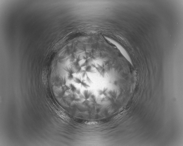 X0000053130409200508081323