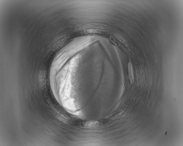 X0000053130410200508081323