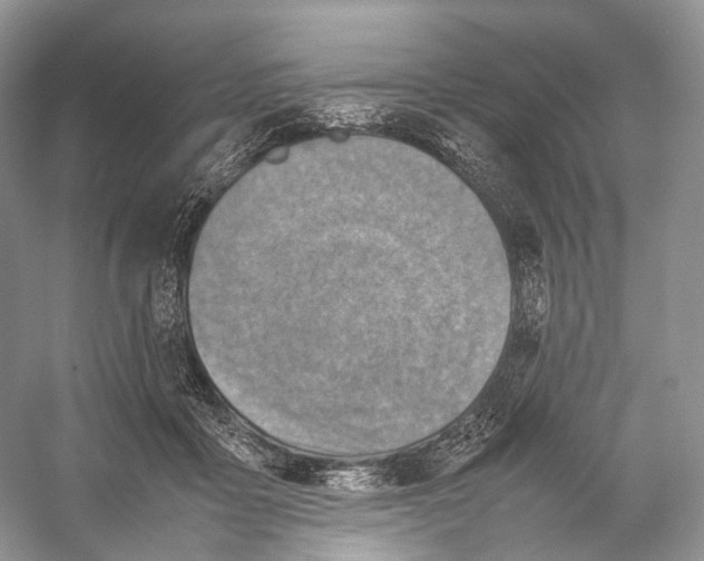X0000053130411200508081323