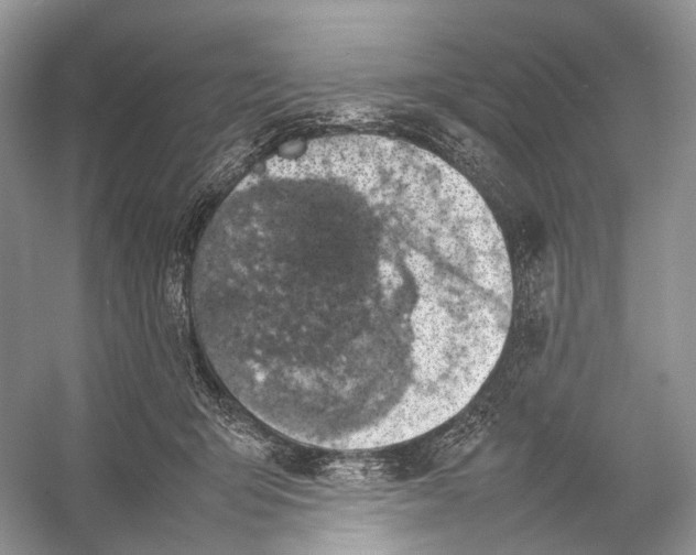 X0000053130415200508081323