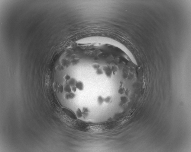 X0000053130417200508081323