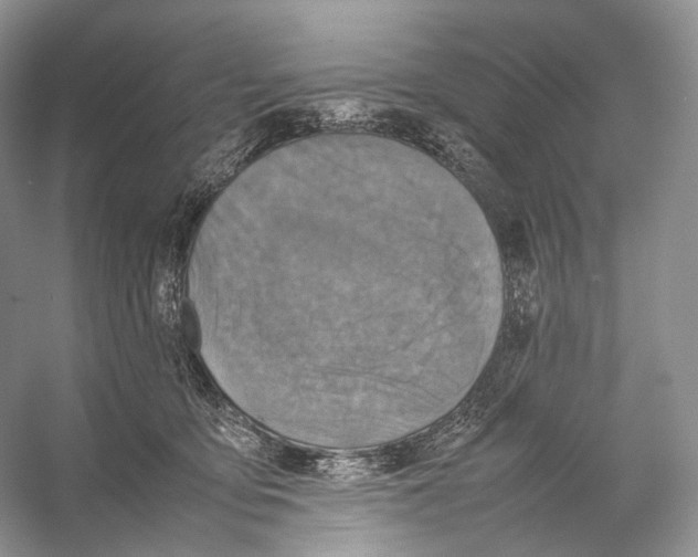 X0000053130419200508081323