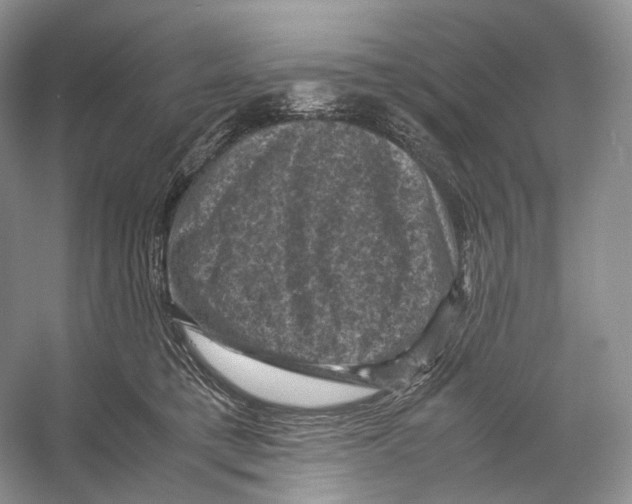 X0000053130421200508081323