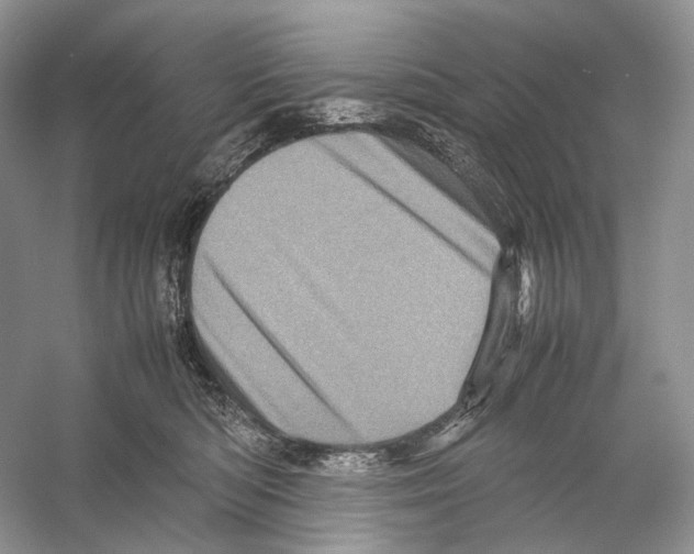 X0000053130422200508081323