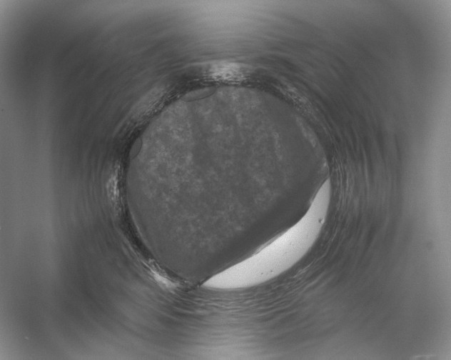 X0000053130424200508081323