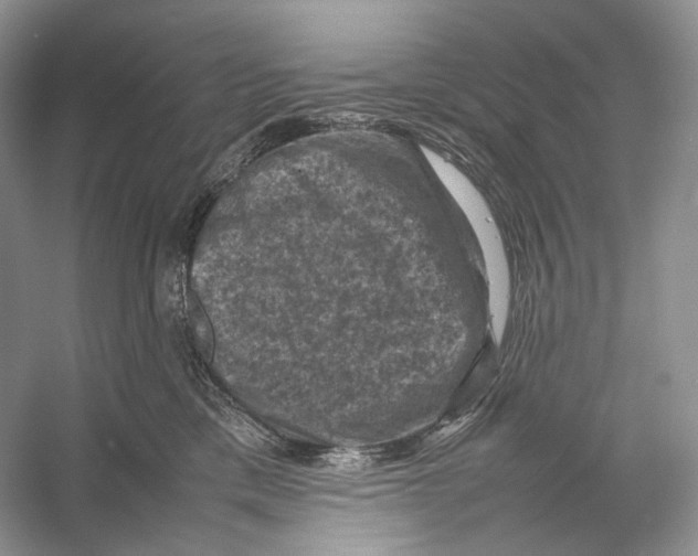 X0000053130425200508081323