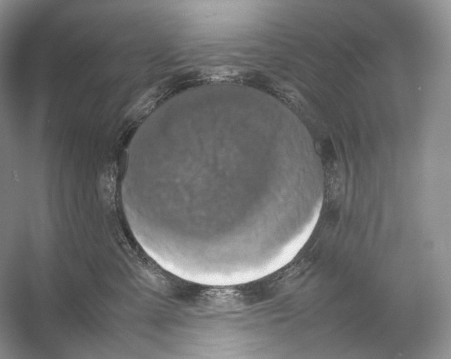 X0000053130427200508081323
