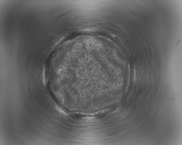 X0000053130428200508081323