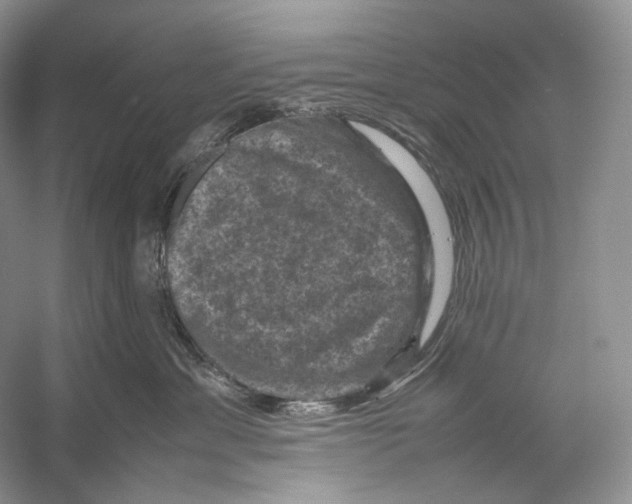 X0000053130429200508081323