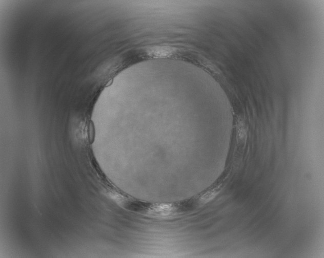 X0000053130431200508081323