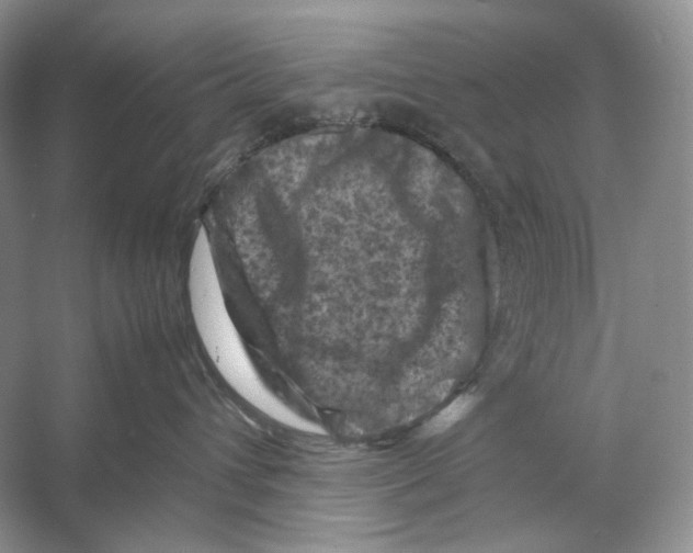 X0000053130432200508081323