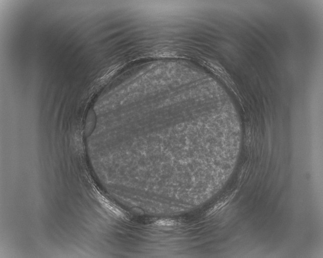 X0000053130441200508081322