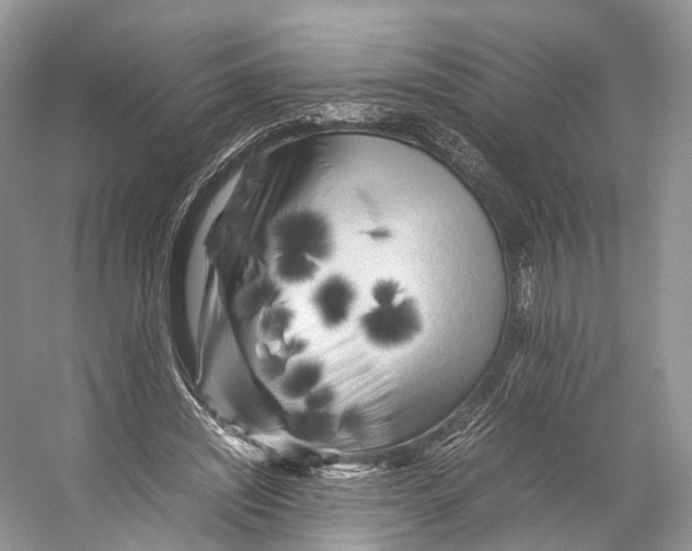 X0000053130444200508081322