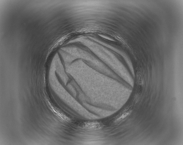 X0000053130446200508081322