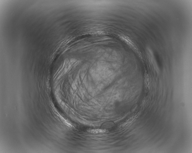 X0000053130449200508081322