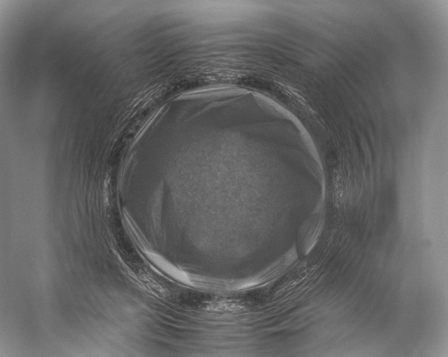 X0000053130451200508081322
