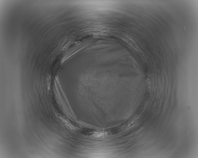 X0000053130458200508081322