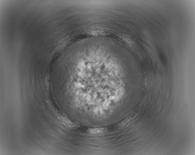 X0000053130461200508081322