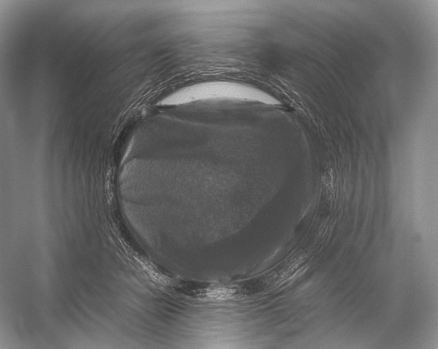 X0000053130462200508081322
