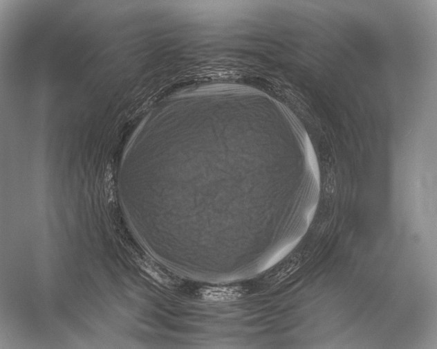X0000053130465200508081322