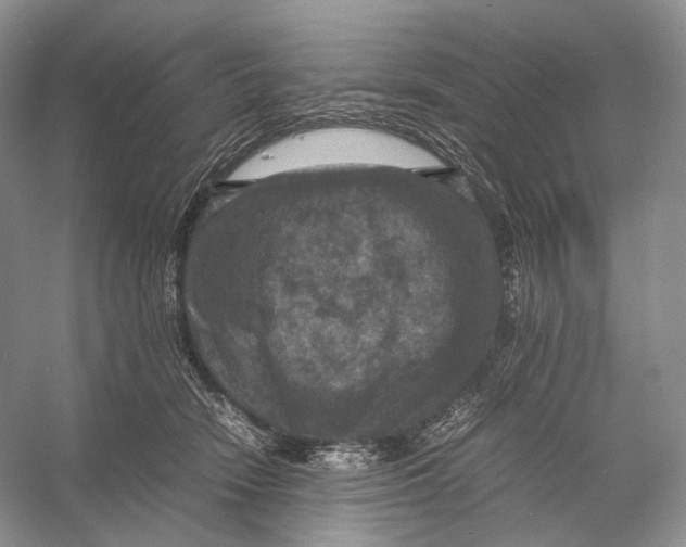 X0000053130466200508081322