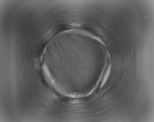 X0000053130467200508081323