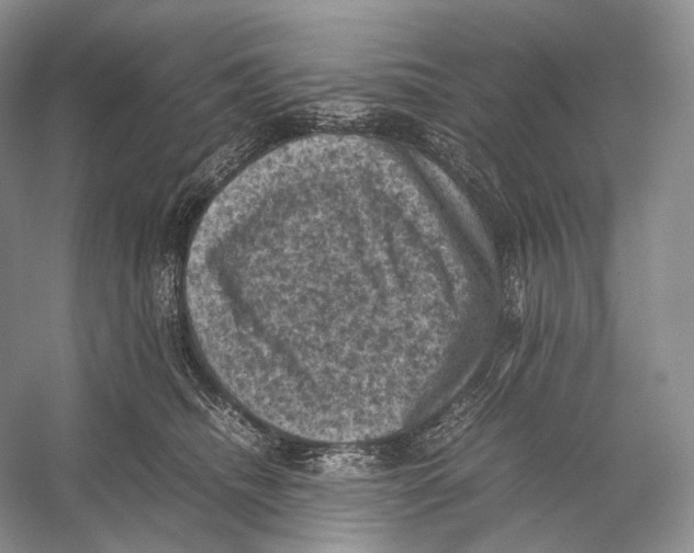 X0000053130468200508081323