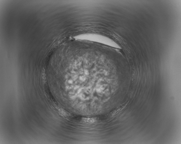 X0000053130469200508081323