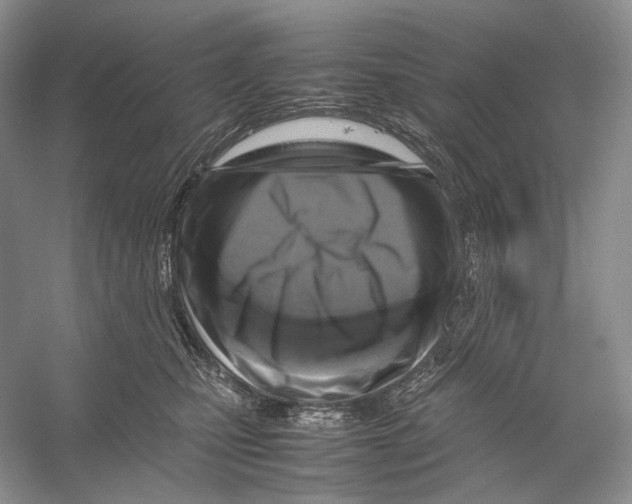 X0000053130471200508081323
