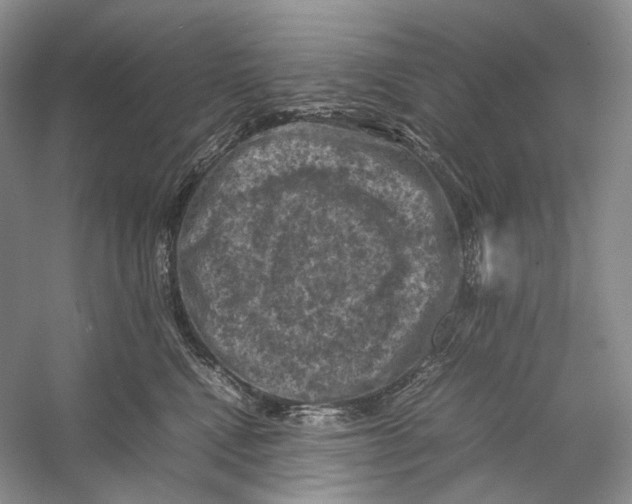 X0000053130472200508081323