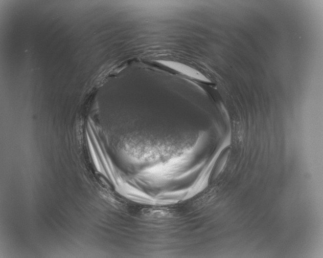 X0000053130475200508081323