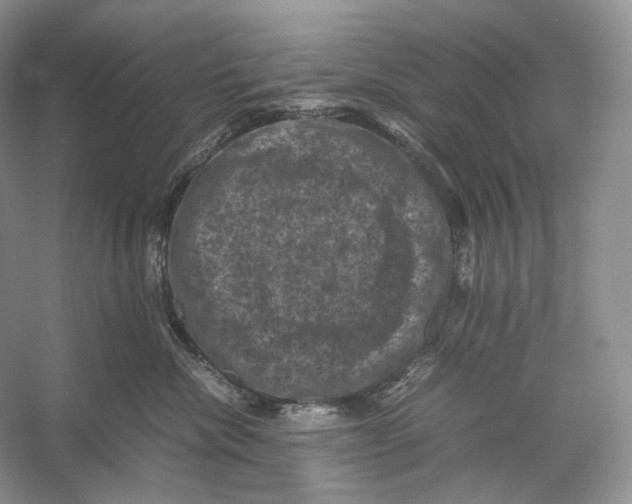 X0000053130476200508081323
