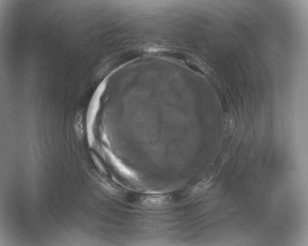X0000053130479200508081323
