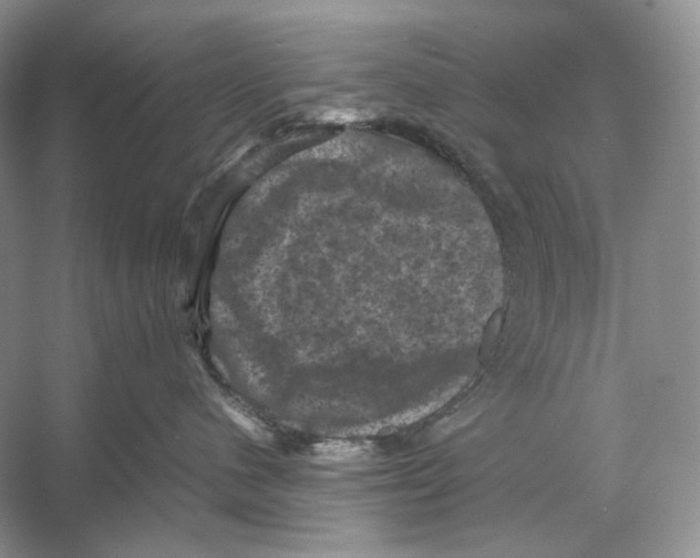X0000053130480200508081323
